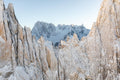 Intimist view on Grandes Jorasses