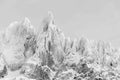Dernière lueur, un soir d'hiver, sur la Verte et les Drus